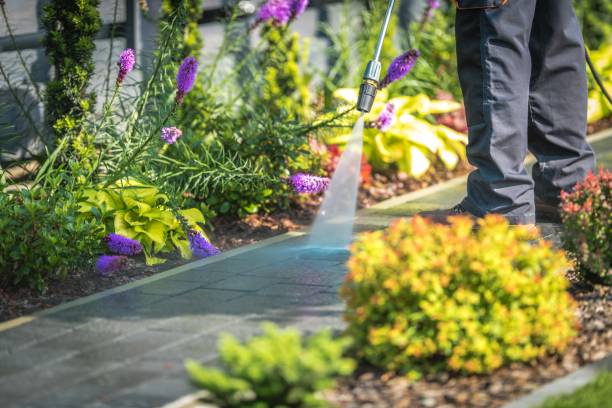 Best Pre-Holiday Cleaning  in Squaw Valley, CA