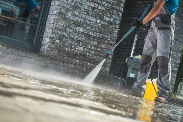Animal Enclosure Cleaning in Squaw Valley, CA