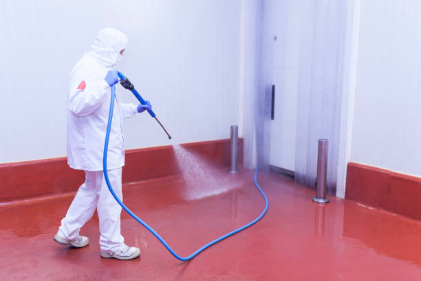 Best Rust Removal  in Squaw Valley, CA